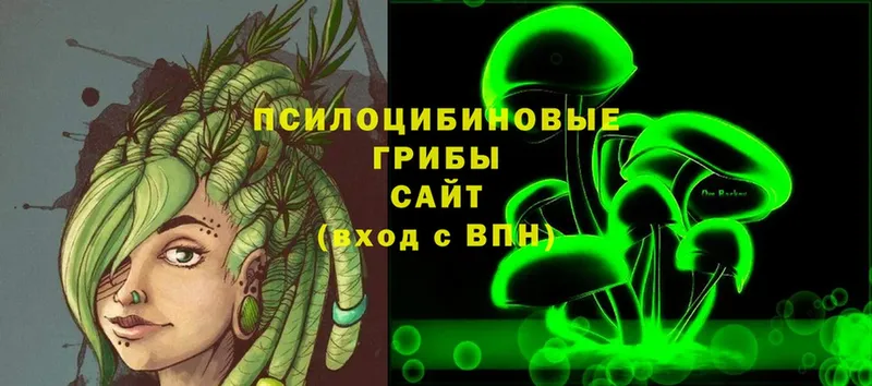 Псилоцибиновые грибы мицелий  Островной 